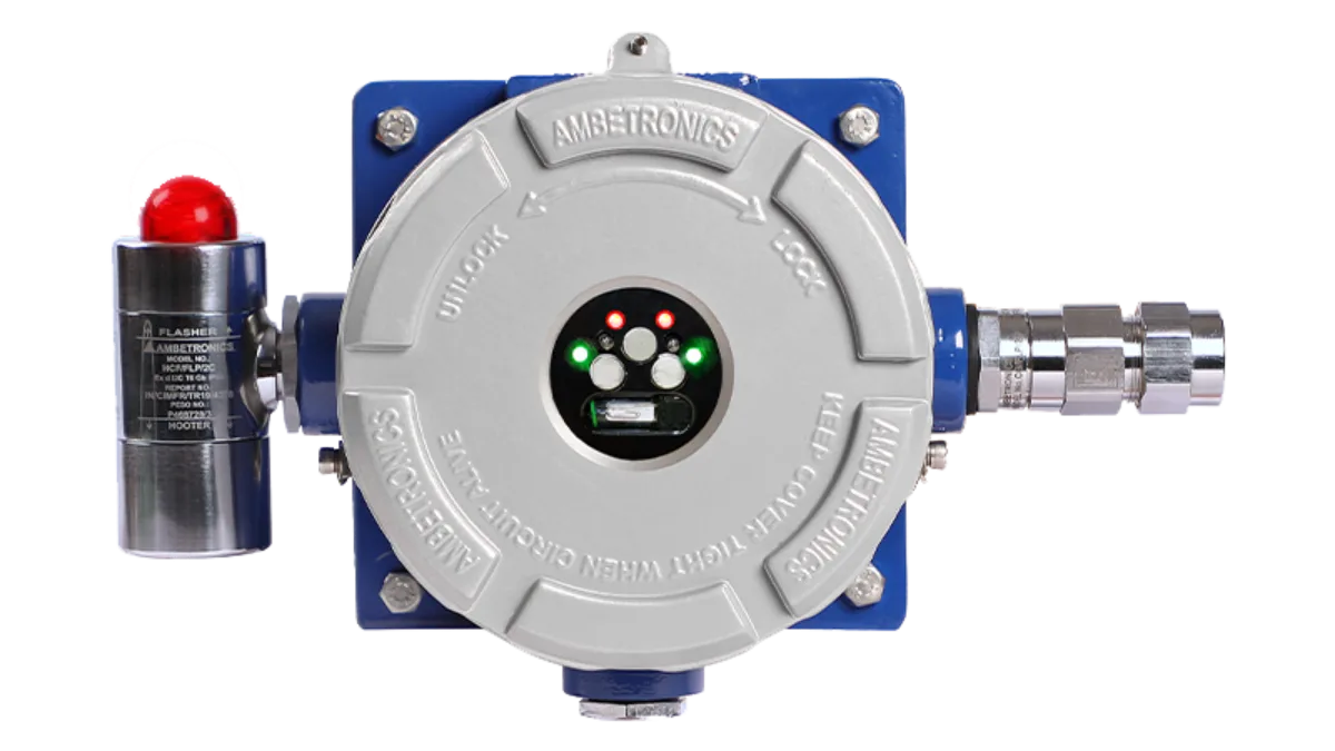 Flame and Gas detection system